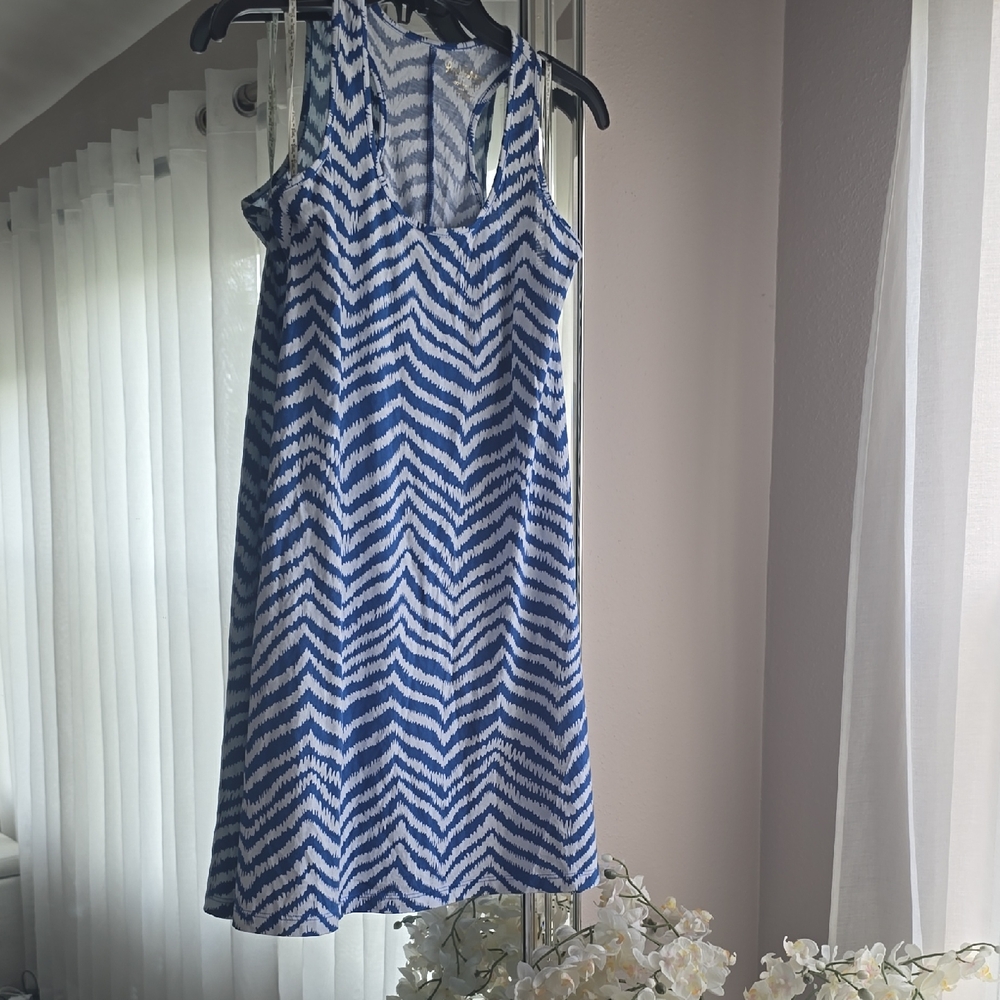 Lilly Pulitzer Blue and White Zigzag Mini Dress